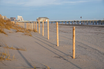 A row of wooden posts on a beach near a pier by a sand dune
