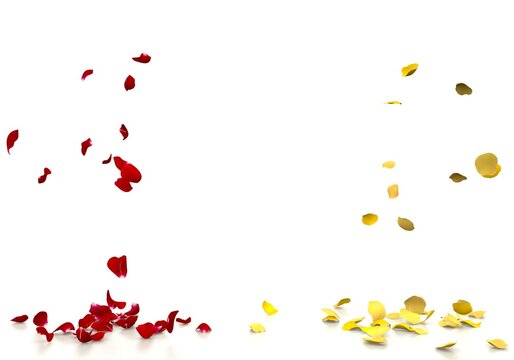 Yellow and red rose petals fall beautifully on the reflective white floor