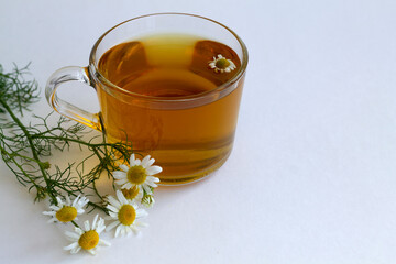mug of chamomile tea. glass cup of iced Herbal chamomile tea on a white table with copy space. cup of tea with fresh flowers and green leaves on white background. top view