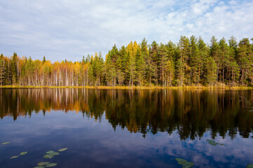 Small autumn lake in the taiga of the Arkhangelsk region, northern Russia