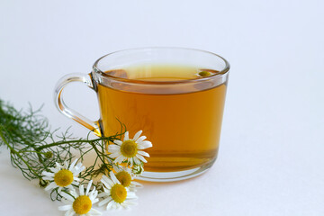 close up mug of chamomile tea. glass cup of iced Herbal chamomile tea on a white table with copy space. cup of tea with fresh flowers and green leaves on white background.