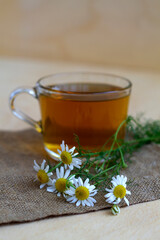 Obraz na płótnie Canvas bouquet of chamomile flowers with glass cup of tea. hot drinks. mug of chamomile tea on sackcloth. with fresh flowers and green leaves on light background. copy space. vertical