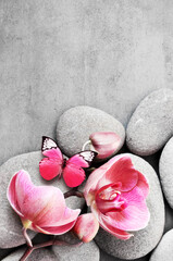 Spa stones, butterfly and pink orchid on the grey background.