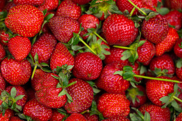 background in the form of ripe strawberries