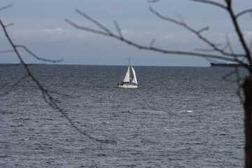 sailing in the sea