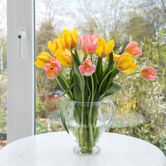 Fenster, Garten, Tulpen, zweifarbig