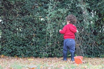 little child playing in the garden