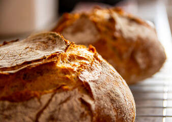 home-made bread wheat rye sourdough oven