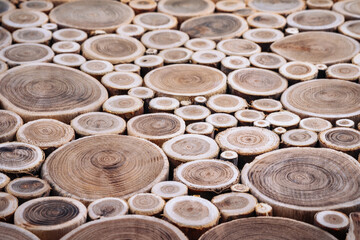 Slice of branches and trees top view as background