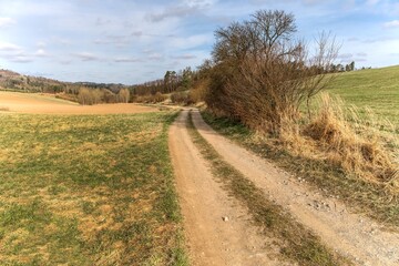 Fototapeta na wymiar Small Dirt Road through Green Fields, Spring Landscape in Czech Republic - EU. Rural road through fields with green herbs and blue sky with clouds