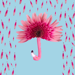 Creative minimal idea made of gerbera flower, petals and exotic flamingo birds on a pastel blue...