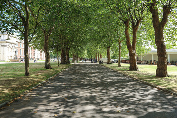 Beautiful road with treelines on the both sides, creating wonderful shade during hot, summer day in Greenwich, London