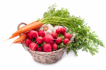 Basket with vegetables. Radish, garlic and carrots with tops. 