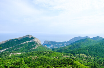 Panoramic view of the green forest in the mountains on the background of the sea