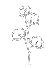 Cotton flowers in one line art style. Continuous drawing can used for icon, wall art prints, posters, magazine, postcard, emblem, logo. Abstract Vector illustration