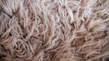Closeup of Faux Fur Rug