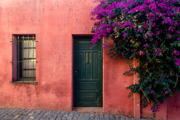 Fototapeta na wymiar door with flowers, Colonia del Sacramento, Uruguay