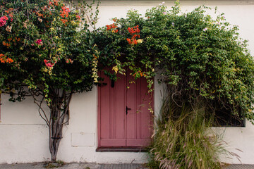 door with flowers, Colonia del Sacramento, Uruguay