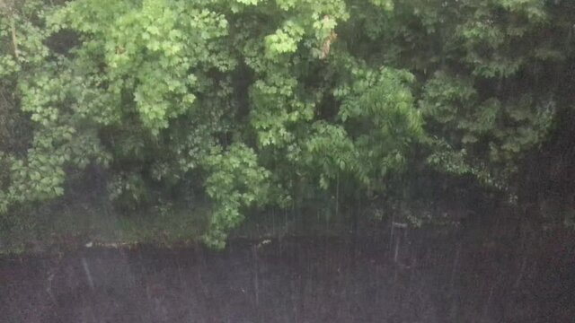 Pouring Rain In The Garden Through The Window With Sound