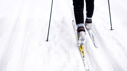 Cropped view of legs and skis while sporting. Back view on ski runner on track. Hobby cross country skiing in winter landscape concept. 