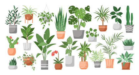 Houseplants. Vector set of house decor with plants, succulents in pot. Indoor exotic flowers with stems and leaves. Monstera, ficus, pothos, yucca, dracaena, cacti, snake plant for home and interior - obrazy, fototapety, plakaty