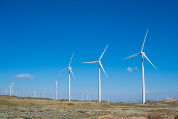Southern California Wind Farm Tehachipi