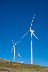Wind Farm Windmills in California - 429302445