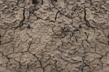 Texture of the dried earth with clay and sand. Close-up. Cracks in the soil surface.