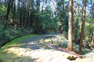 Hiking on the Nakasendo in the Japanese Alps between Nakatsugawa, Magome, Tsumago and Nagisu...