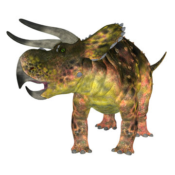 Nasutoceratops Dinosaur on White - Nasutoceratops was a herbivorous Ceratopsid dinosaur that lived in Utah, USA during the Cretaceous Period.
