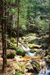 Hiking on the Nakasendo in the Japanese Alps between Nakatsugawa, Magome, Tsumago and Nagisu (中山道, 馬籠宿, 妻籠宿) | On the trail