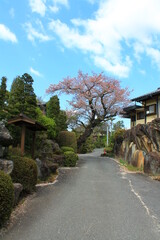Hiking on the Nakasendo in the Japanese Alps between Nakatsugawa, Magome, Tsumago and Nagisu (中山道, 馬籠宿, 妻籠宿) | Close to Nagisu