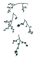 Obraz premium Set of isolated stylized images of blossoming tree branches. Openwork black silhouettes on a white background. The first spring flowers with long stamens, as a symbol of the awakening of nature.