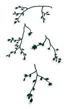 Set of isolated stylized images of blossoming tree branches. Openwork black silhouettes on a white background. The first spring flowers with long stamens, as a symbol of the awakening of nature.