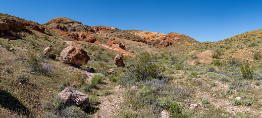 Fototapeta na wymiar Rocks and Brush in Mojave Desert Wilderness