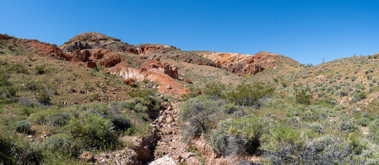 Narrow Wash in Mojave Desert Hills