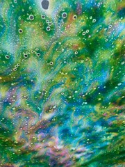 peacock feather texture