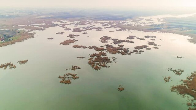 Aerial drone shot of untouched nature in Serbia, at dawn. Reed, bulrush islands.