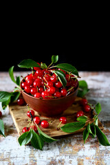 Fresh cherries in a bowl. Harvest of red cherries.