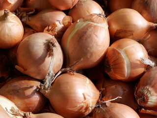 onions on the market