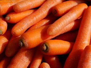 bunch of carrots