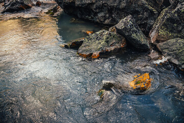 Scenic nature background of turquoise clear water stream among rocks with mosses and lichens. Atmospheric mountain landscape with mossy stones in transparent mountain creek. Beautiful mountain stream.