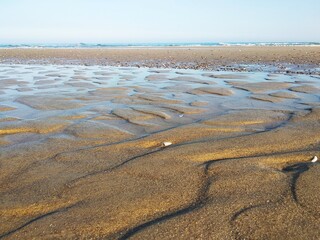 Fototapeta premium sand dunes in the morning
