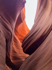 Arizona | Page