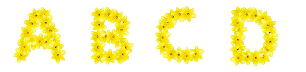 The letters A, B, C, D are made of yellow daffodil flowers