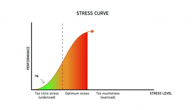Stress Curve Level and Performance Animation on White Background