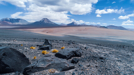 Atacama Desert. Chile.