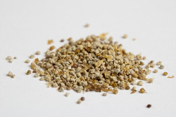 Cañihua (Chenopodium pallidicaule) grain. Cañihua is native to the Andean region
