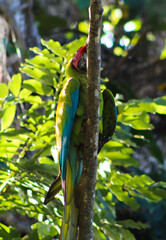 SSSHHHH......You Can't See Me......