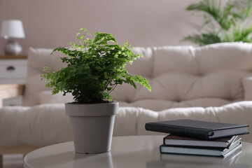 Beautiful potted fern and books on table in living room